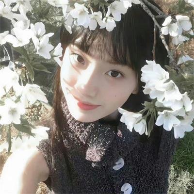探灵档案